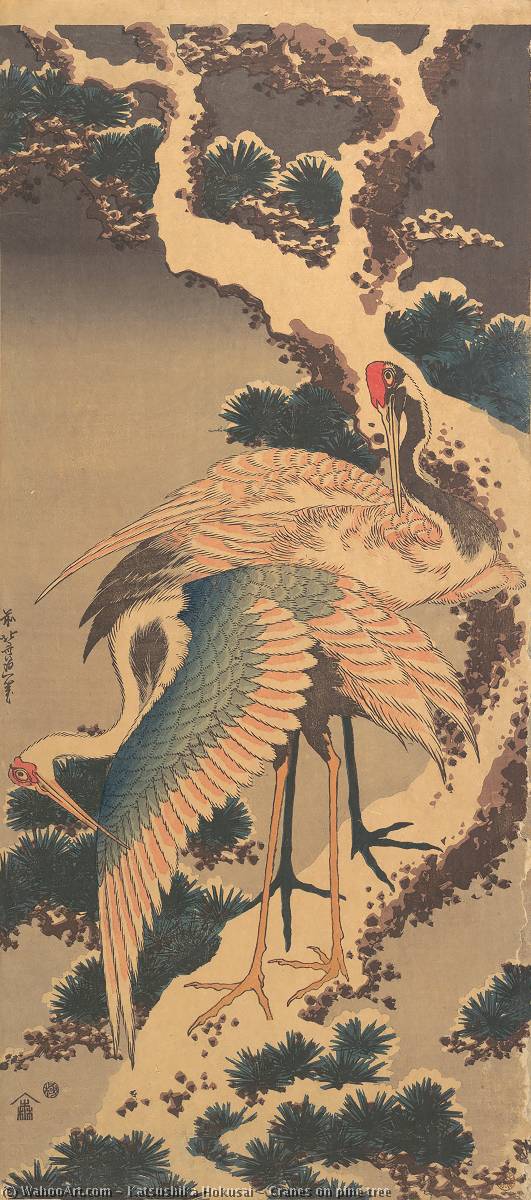 Cranes on a pine branch — woodblock print by Katsushika Hokusai